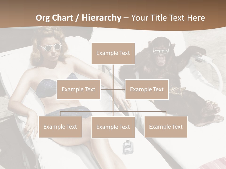 Years Bygone Era Funny PowerPoint Template