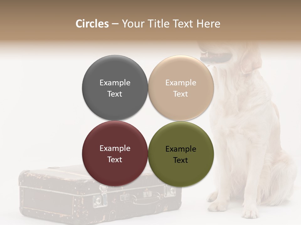 Devotion Journey Golden PowerPoint Template