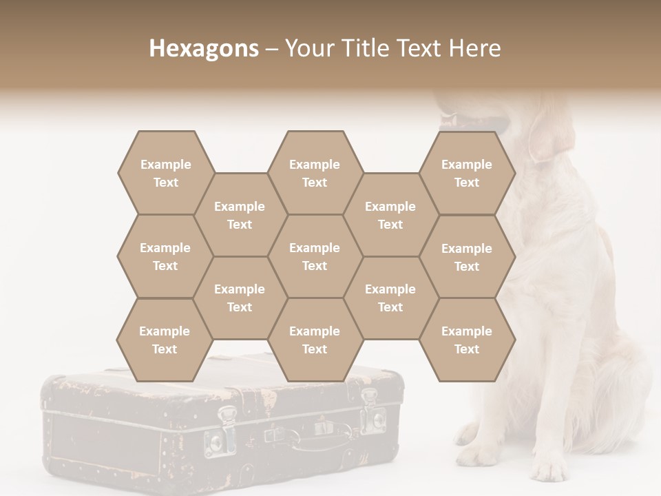 Devotion Journey Golden PowerPoint Template