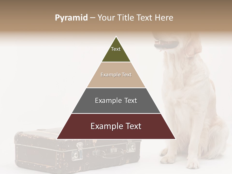 Devotion Journey Golden PowerPoint Template