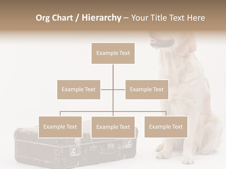 Devotion Journey Golden PowerPoint Template