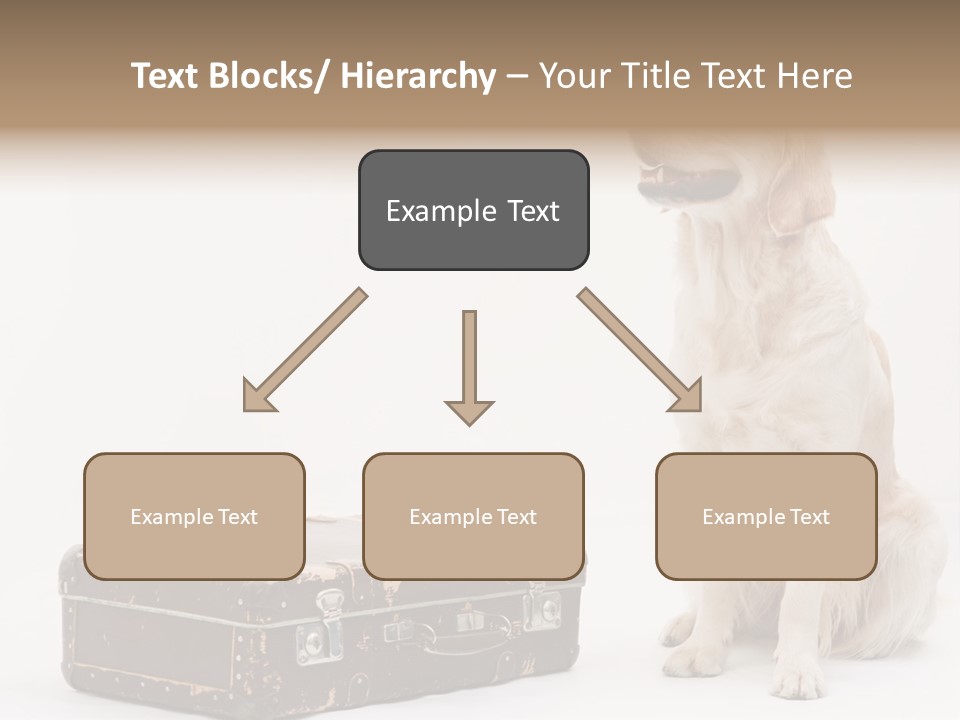 Devotion Journey Golden PowerPoint Template