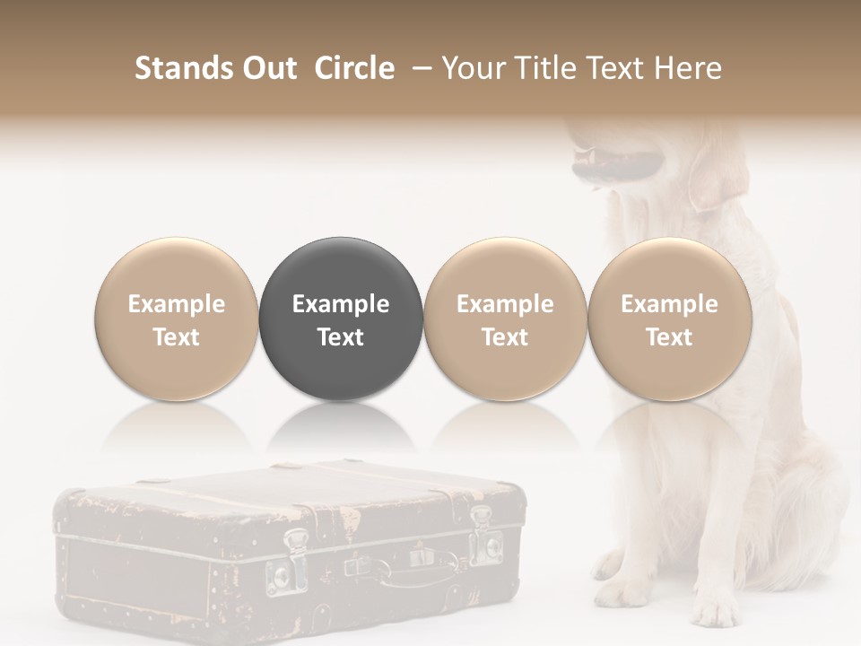 Devotion Journey Golden PowerPoint Template