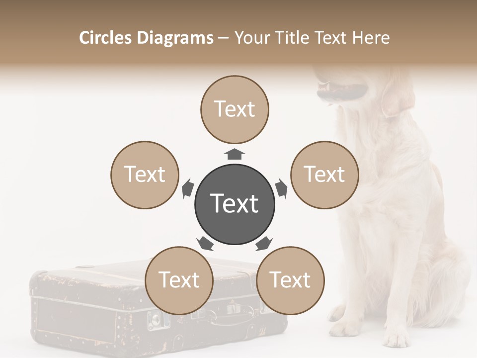 Devotion Journey Golden PowerPoint Template