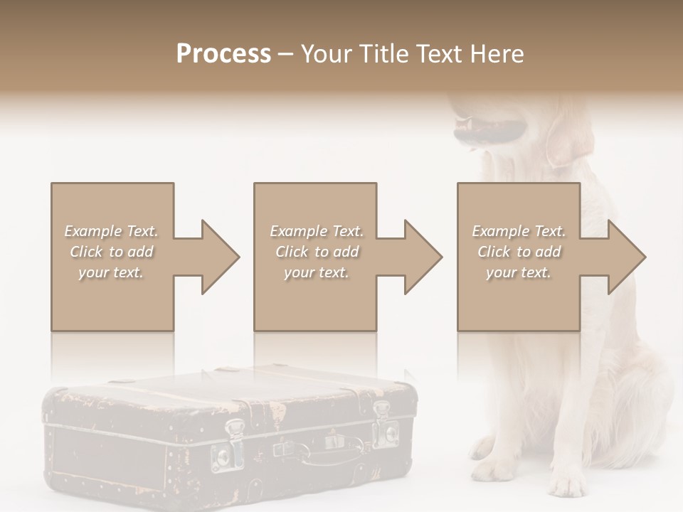 Devotion Journey Golden PowerPoint Template