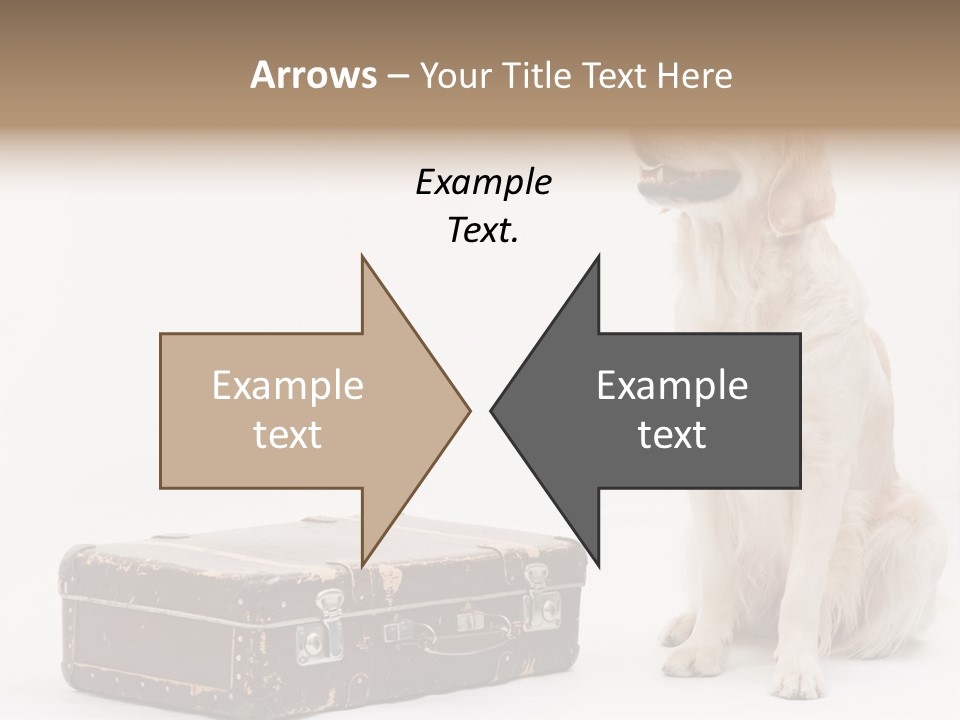 Devotion Journey Golden PowerPoint Template