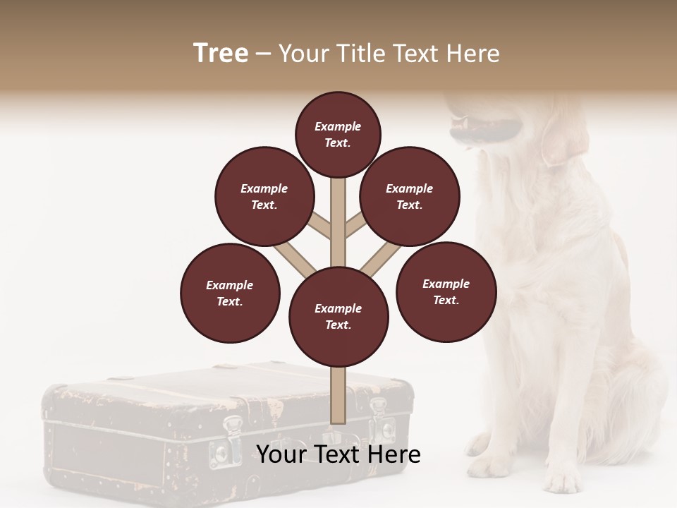 Devotion Journey Golden PowerPoint Template