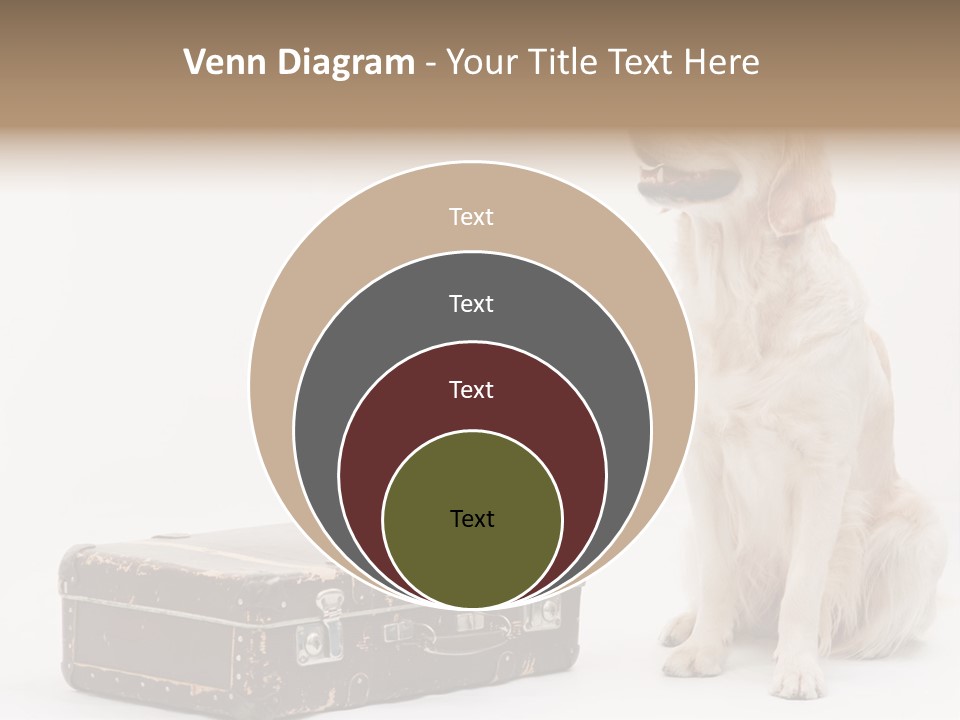 Devotion Journey Golden PowerPoint Template