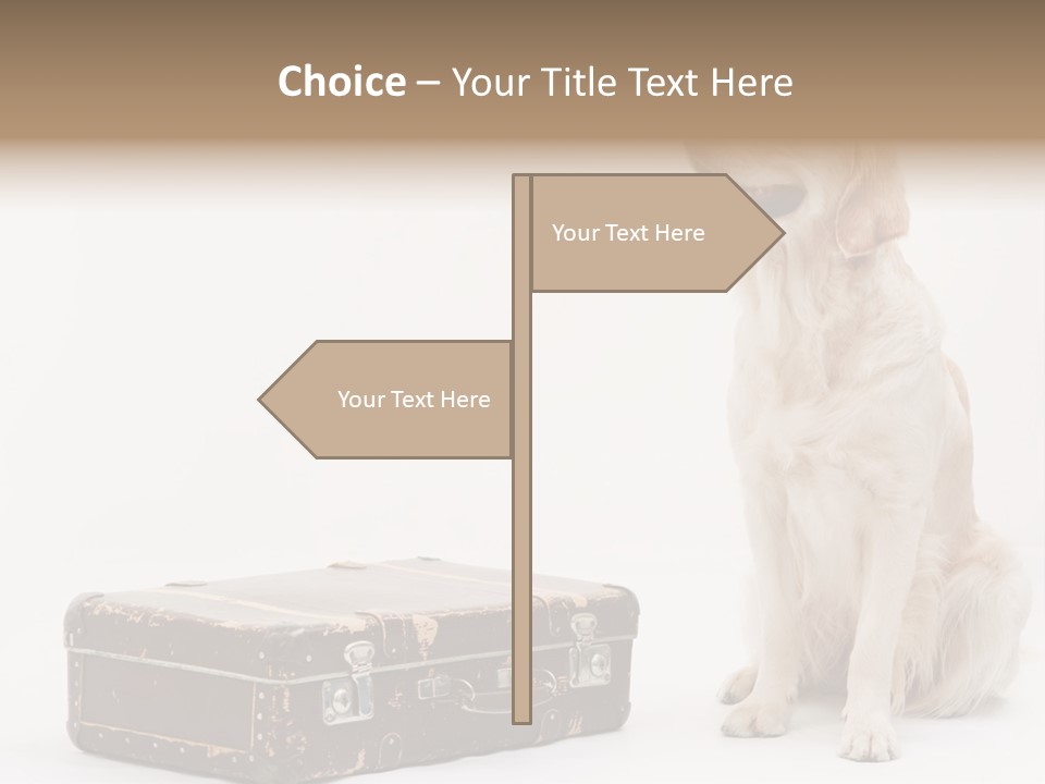 Devotion Journey Golden PowerPoint Template