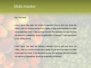 Tuscany Italy Vines PowerPoint Template