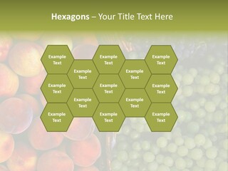 Tuscany Italy Vines PowerPoint Template