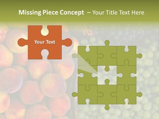 Tuscany Italy Vines PowerPoint Template