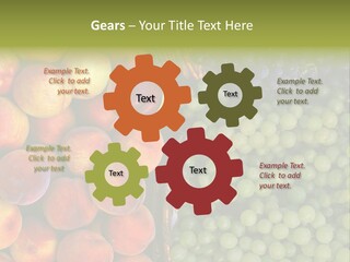 Tuscany Italy Vines PowerPoint Template