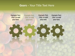 Tuscany Italy Vines PowerPoint Template