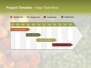 Tuscany Italy Vines PowerPoint Template