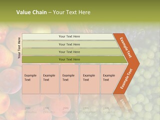 Tuscany Italy Vines PowerPoint Template