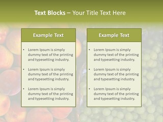 Tuscany Italy Vines PowerPoint Template