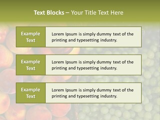 Tuscany Italy Vines PowerPoint Template