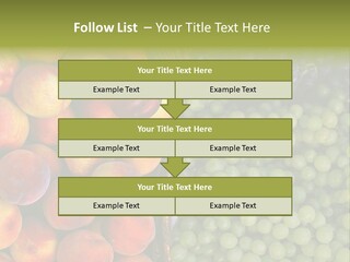 Tuscany Italy Vines PowerPoint Template