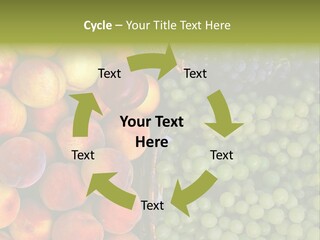 Tuscany Italy Vines PowerPoint Template