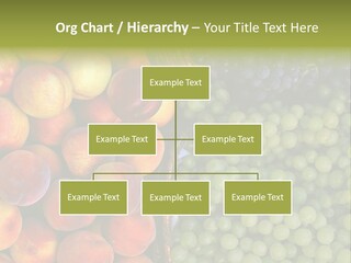 Tuscany Italy Vines PowerPoint Template