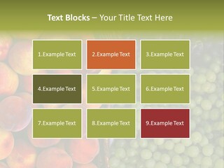 Tuscany Italy Vines PowerPoint Template