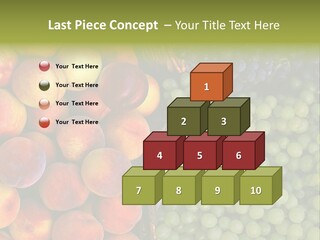 Tuscany Italy Vines PowerPoint Template