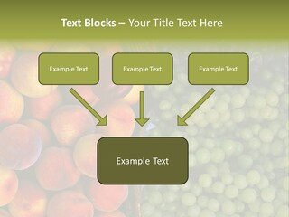 Tuscany Italy Vines PowerPoint Template