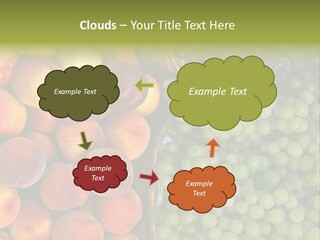 Tuscany Italy Vines PowerPoint Template