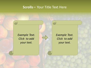 Tuscany Italy Vines PowerPoint Template