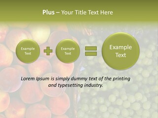 Tuscany Italy Vines PowerPoint Template