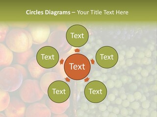 Tuscany Italy Vines PowerPoint Template