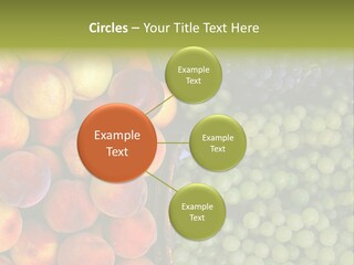 Tuscany Italy Vines PowerPoint Template