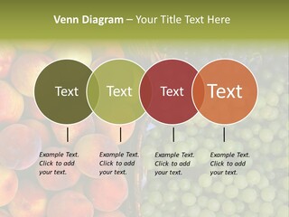 Tuscany Italy Vines PowerPoint Template