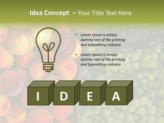 Tuscany Italy Vines PowerPoint Template