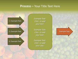 Tuscany Italy Vines PowerPoint Template