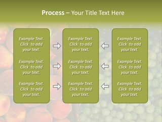 Tuscany Italy Vines PowerPoint Template