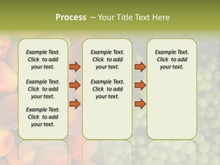 Tuscany Italy Vines PowerPoint Template