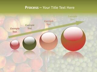 Tuscany Italy Vines PowerPoint Template