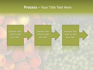 Tuscany Italy Vines PowerPoint Template