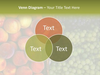 Tuscany Italy Vines PowerPoint Template