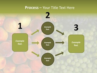 Tuscany Italy Vines PowerPoint Template