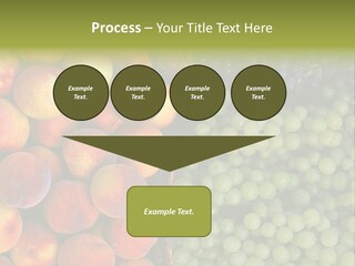Tuscany Italy Vines PowerPoint Template