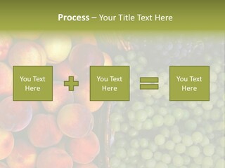 Tuscany Italy Vines PowerPoint Template