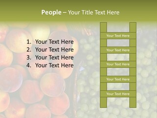 Tuscany Italy Vines PowerPoint Template