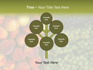 Tuscany Italy Vines PowerPoint Template