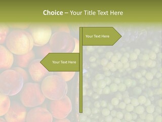 Tuscany Italy Vines PowerPoint Template