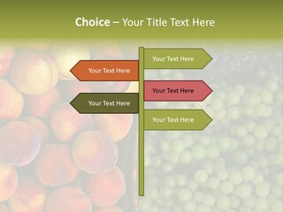 Tuscany Italy Vines PowerPoint Template