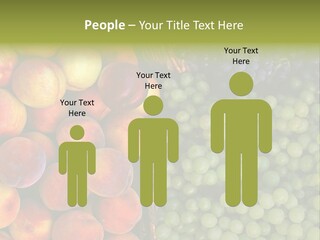 Tuscany Italy Vines PowerPoint Template