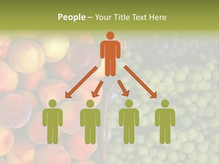 Tuscany Italy Vines PowerPoint Template